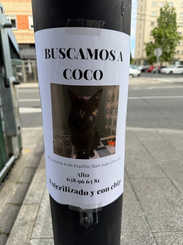 Coco está desaparecido